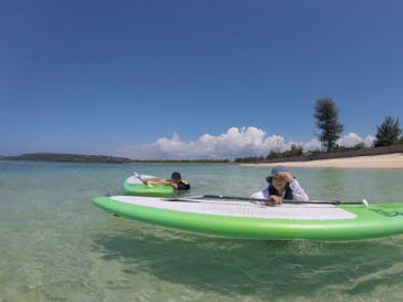 ウッパママリンに投稿された画像（2017/8/15）