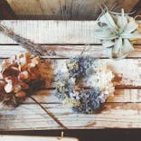 WAKAに投稿された画像（2017/8/17）