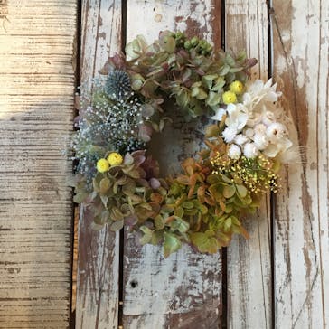 WAKAに投稿された画像（2017/8/9）