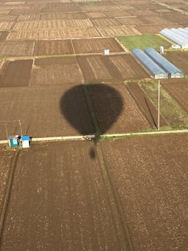 ウイニングバルーンクラブに投稿された画像（2017/4/10）