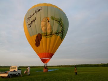 ウイニングバルーンクラブに投稿された画像（2017/8/7）