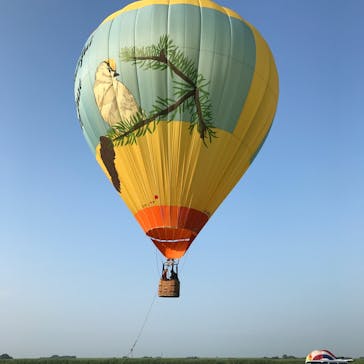 ウイニングバルーンクラブに投稿された画像（2017/8/1）
