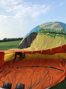 ウイニングバルーンクラブに投稿された画像（2017/8/1）