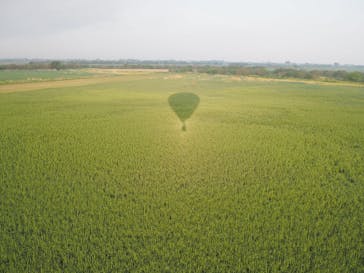 ウイニングバルーンクラブに投稿された画像（2017/5/7）