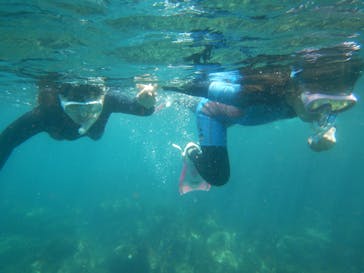 ヘイズダイブに投稿された画像（2017/8/25）