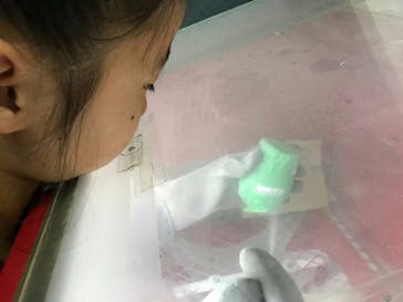 メイソン工房に投稿された画像（2017/5/12）