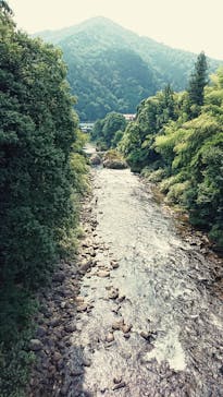 長良川サイクルクルーズに投稿された画像（2016/8/15）