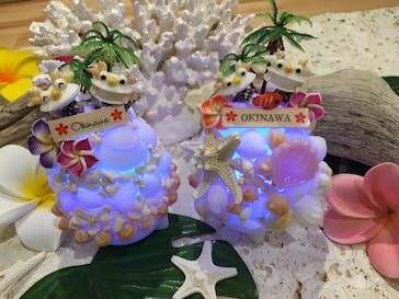 Kanoa Okinawa 恩納村店に投稿された画像（2017/1/8）