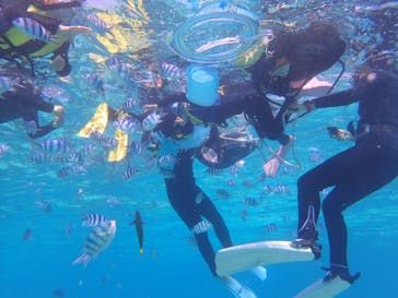 マリンクラブジジに投稿された画像（2017/3/31）