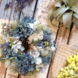 WAKAに投稿された画像（2017/8/19）