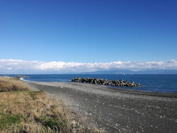 パラくるうピエロに投稿された画像（2016/12/30）