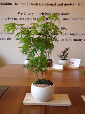 キマルスペースに投稿された画像（2017/5/28）