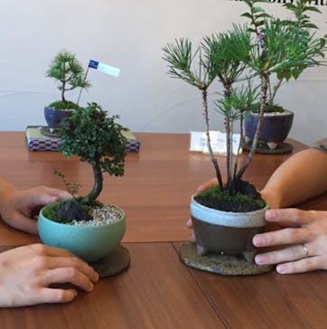 キマルスペースに投稿された画像（2017/9/19）