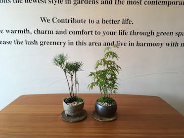 キマルスペースに投稿された画像（2017/9/27）