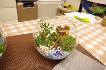 カルチャースクールいろはに投稿された画像（2017/4/27）