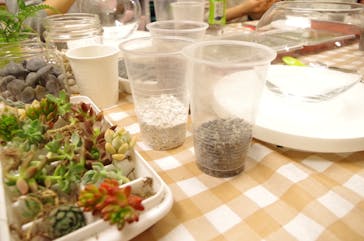 カルチャースクールいろはに投稿された画像（2017/4/27）