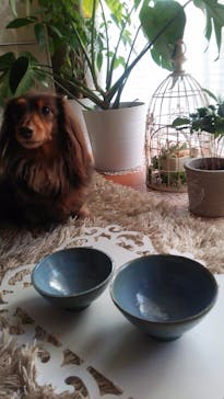 テラ小屋に投稿された画像（2017/1/14）