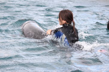 室戸ドルフィンセンターに投稿された画像（2017/1/24）