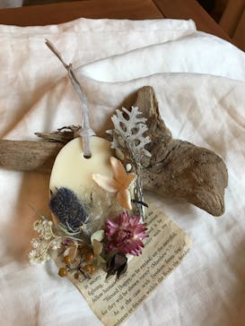 une graine（アングレンヌ）に投稿された画像（2017/9/7）