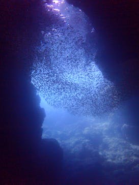 青の洞窟専門店　沖縄ダイビングショップ和に投稿された画像（2017/7/27）