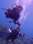 青の洞窟専門店　沖縄ダイビングショップ和に投稿された画像（2017/8/9）