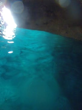 青の洞窟専門店　沖縄ダイビングショップ和に投稿された画像（2017/7/12）