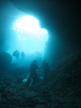 平田潜漁店に投稿された画像（2017/9/13）