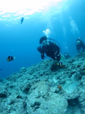 平田潜漁店に投稿された画像（2017/9/6）