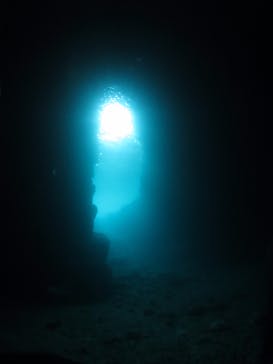 平田潜漁店に投稿された画像（2017/9/6）