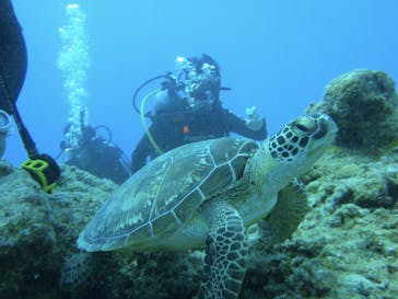 マーヴェラスプレジャー石垣に投稿された画像（2017/9/14）