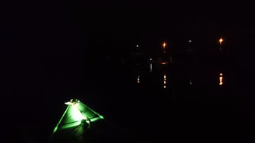 ふくろう自然塾に投稿された画像（2017/8/15）