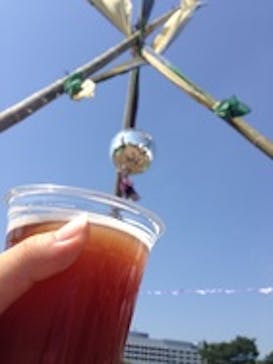 国営昭和記念公園に投稿された画像（2015/3/20）