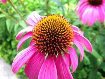 軽井沢絵本の森美術館に投稿された画像（2015/5/2）