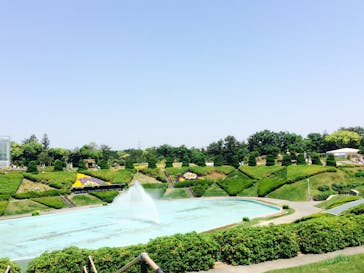 はままつフラワーパークに投稿された画像（2015/5/11）