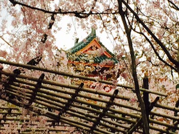 平安神宮神苑に投稿された画像（2015/4/12）