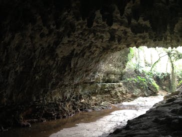 ガンガラーの谷に投稿された画像（2015/3/22）