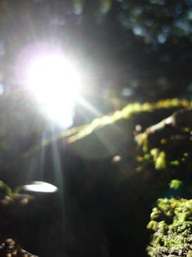 屋久島に投稿された画像（2015/5/2）