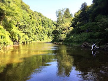養老渓谷に投稿された画像（2015/6/20）