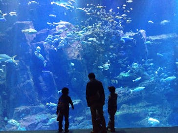 男鹿水族館ＧＡＯに投稿された画像（2015/3/21）