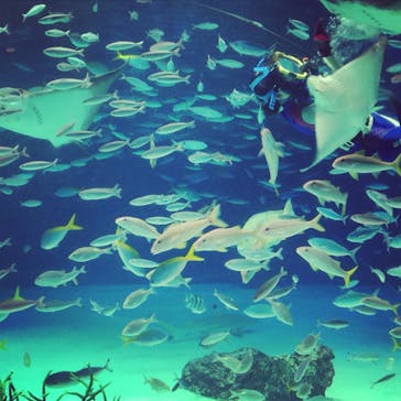 サンシャイン水族館に投稿された画像（2015/3/22）