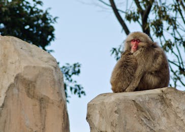 東京都恩賜上野動物園に投稿された画像（2015/5/2）