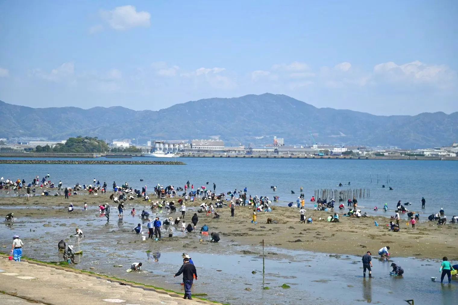 潮干狩りチケット】家族で笑顔！のんびり潮干狩りと海辺のピクニック