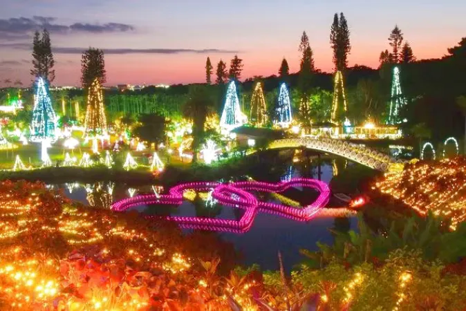夜の部 ｜17:00～22:00＞沖縄南国イルミネーション入園チケット