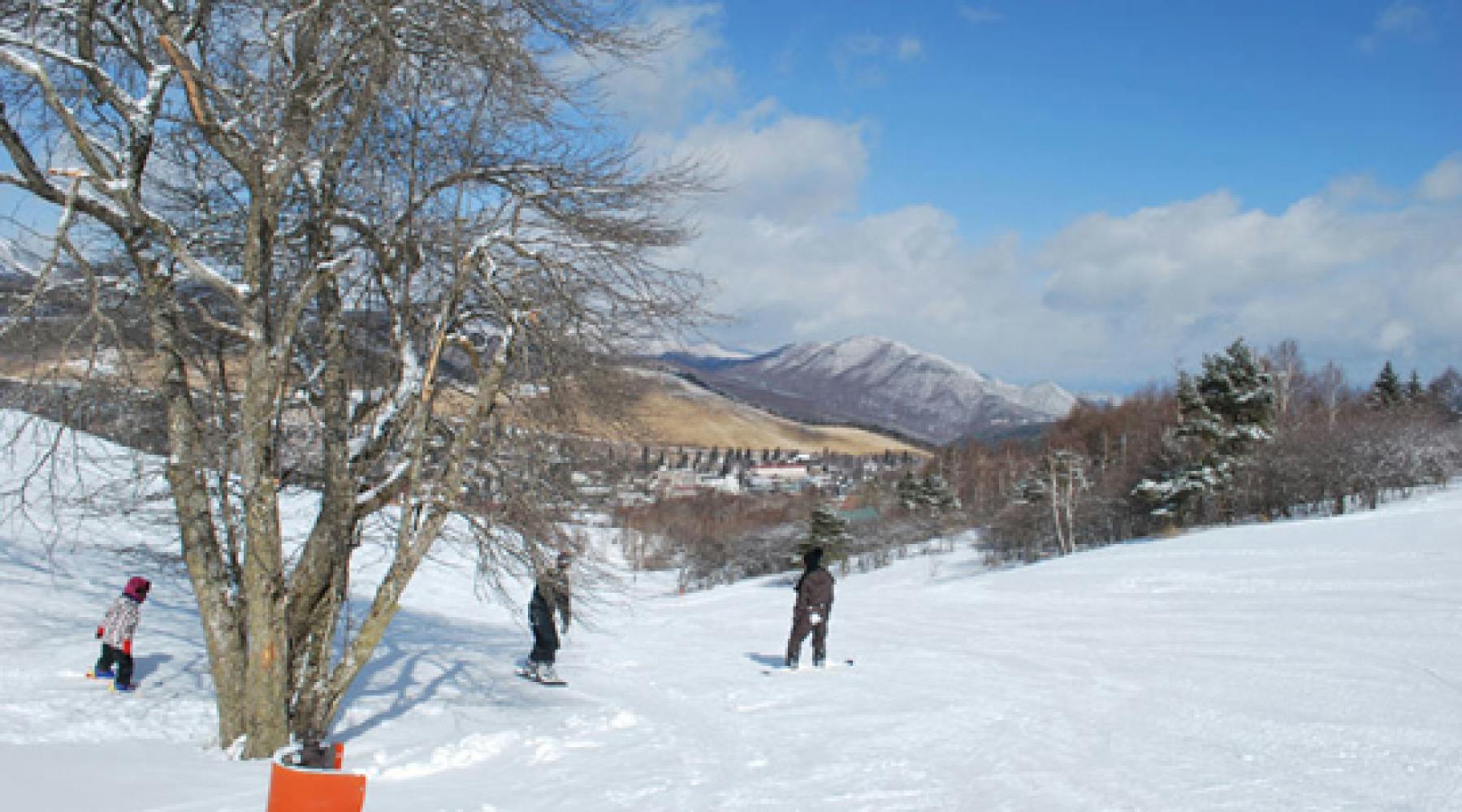 白樺湖 HILLスキー場　リフト１日券 引換券　ペア 楽天市場】【ふるさと納税】 白樺高原国際スキー場・しらかば