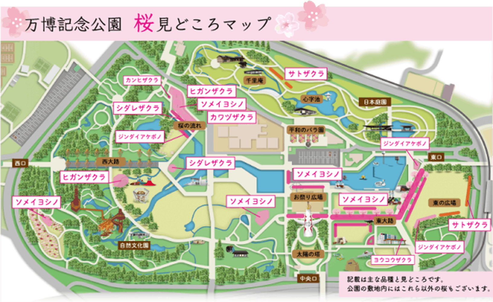 イベントの画像