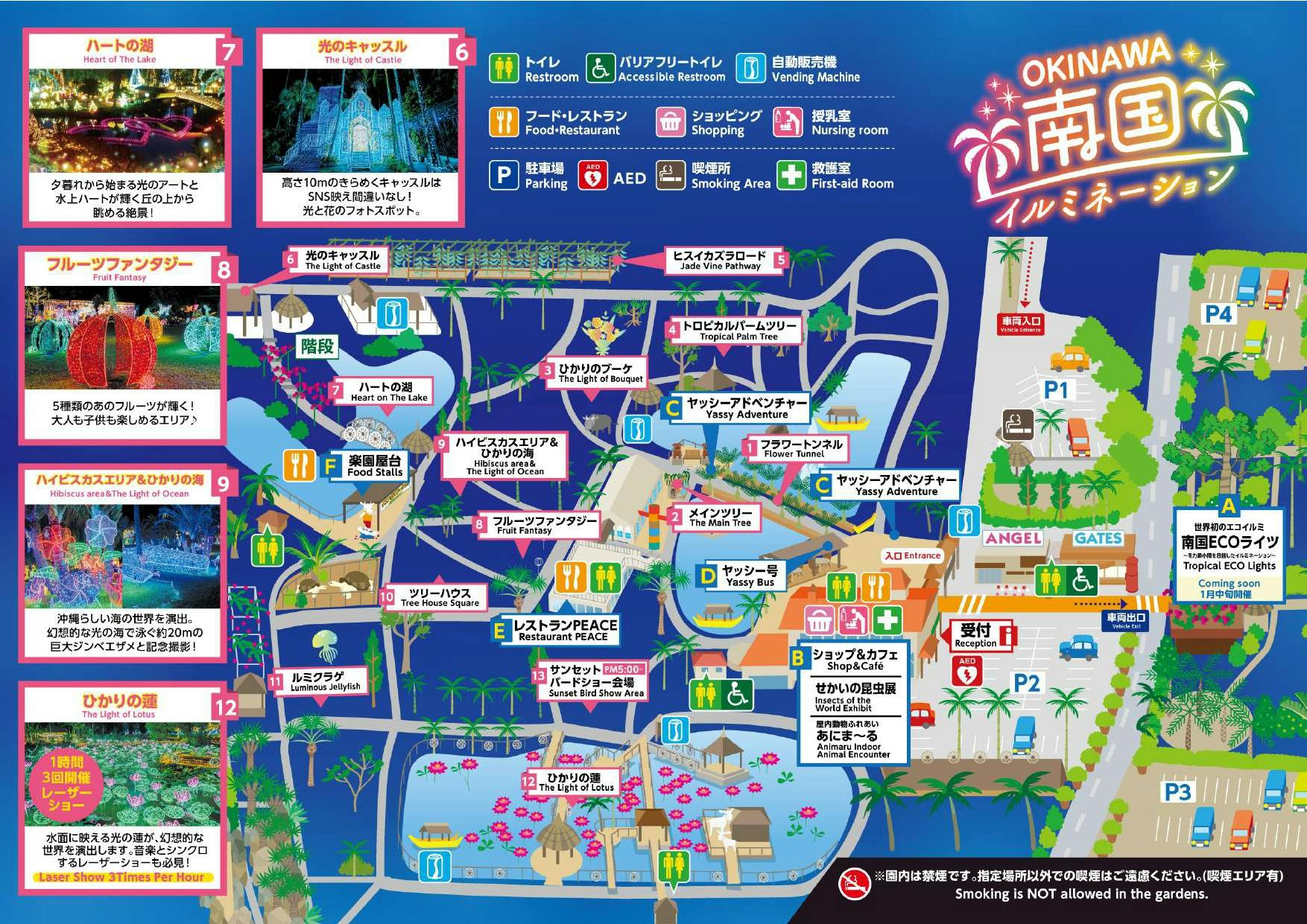 ナイトお楽しみ2パス付】夜の部入園｜アソビュー！