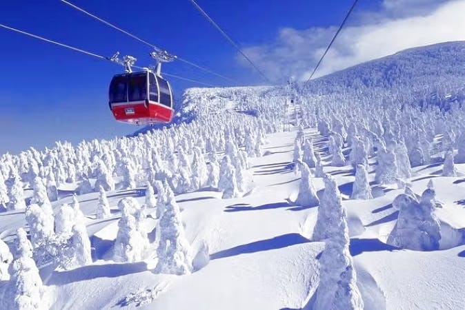 プレミアム券】蔵王温泉スキー場 プレミアム特典付きリフト