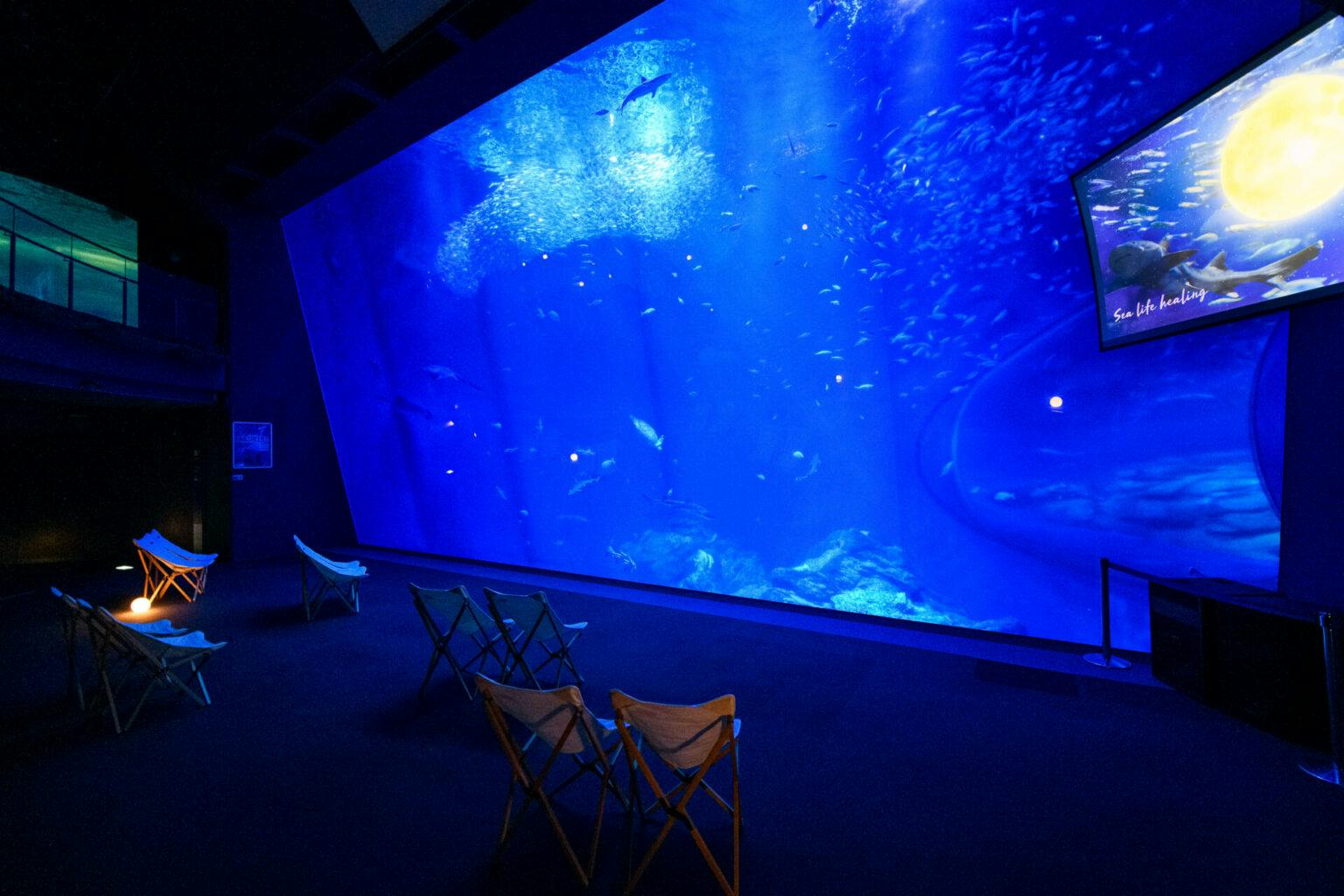 （ぎゅな様）オーシャンシアター 海洋楽園 ぎゅな様）オーシャンシアター 海洋楽園 ぎゅな様）オーシャンシアター