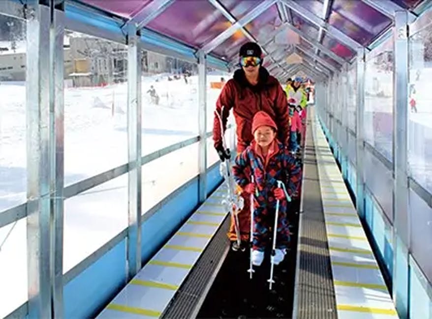 岐阜県奥美濃ウィングヒルズ白鳥リゾートゴンドラリフト全日一日券引換券