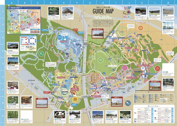 15%割引】国営ひたち海浜公園プレジャーガーデン｜割引チケット